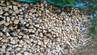 Brennholz Buche - 97828 Marktheidenfeld - 10 m³ Hartholz