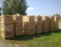 Brennholz Esche - 2475000 Rechitsa, Belarus - 2 m³ Hartholz