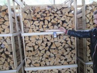 Brennholz Buche - 10001 Berlin - 2 m³ Hartholz
