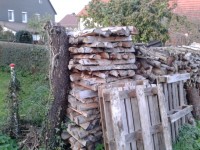 Brennholz Buche - 70197 Stuttgart - 1 m³ Hartholz