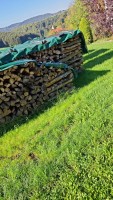 Brennholz Buche - 72525 Münsingen - 6 m³ Hartholz