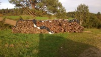 Brennholz Buche - 72531 Hohenstein - 1 m³ Hartholz