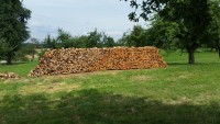 Brennholz Buche - 71088 Holzgerlingen - 1 m³ Hartholz