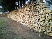 Brennholz Buche - 16559 Liebenwalde - 10 m³ Hartholz