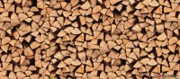 Brennholz Buche - 66606 st wendel - 1 m³ Hartholz