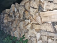 Brennholz Fichte - 71540 Baden-Württemberg - Murrhardt - 1 m³ Nadelholz