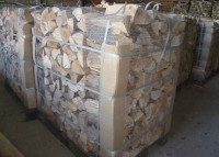 Brennholz Buche - 03149 Forst - 1 m³ Hartholz