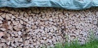 Brennholz Buche - 72131 Ofterdingen - 1 m³ Hartholz